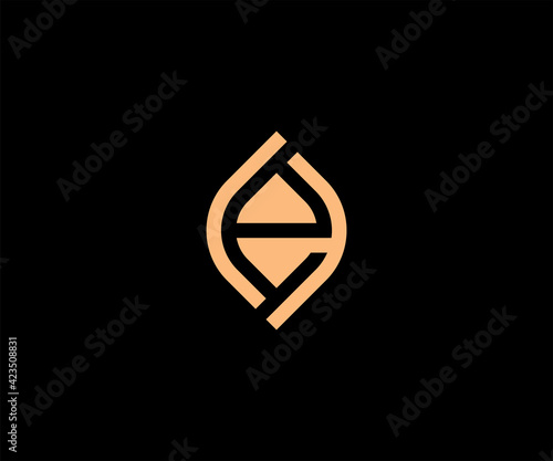 Letter e logo design vector template