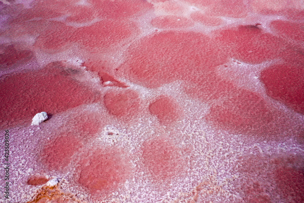 Fototapeta premium salt lake shore pink orange and white texture