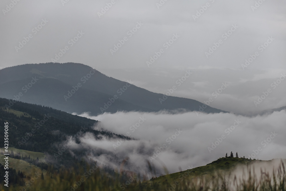 Carpathian mountains, summer, clouds, rain Carpathian mountains, summer, clouds, rain