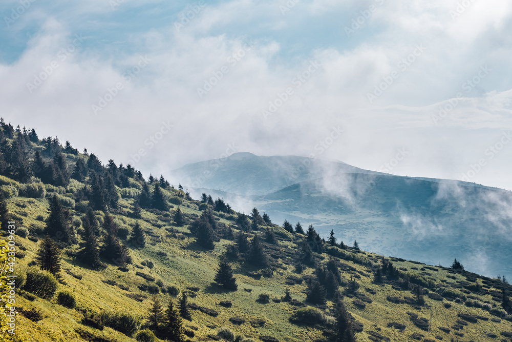 Carpathian mountains, summer, clouds, rain