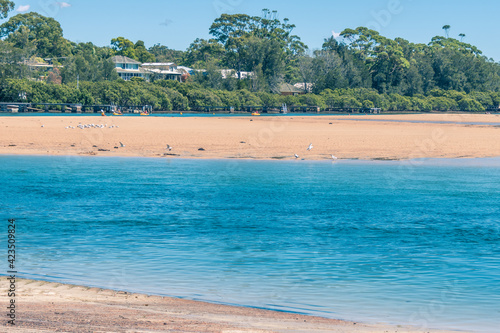Summers day at Mossy Point waterfront