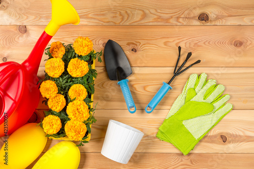 rubber boots, watering can, flowers and gardening tools top view gardening concept