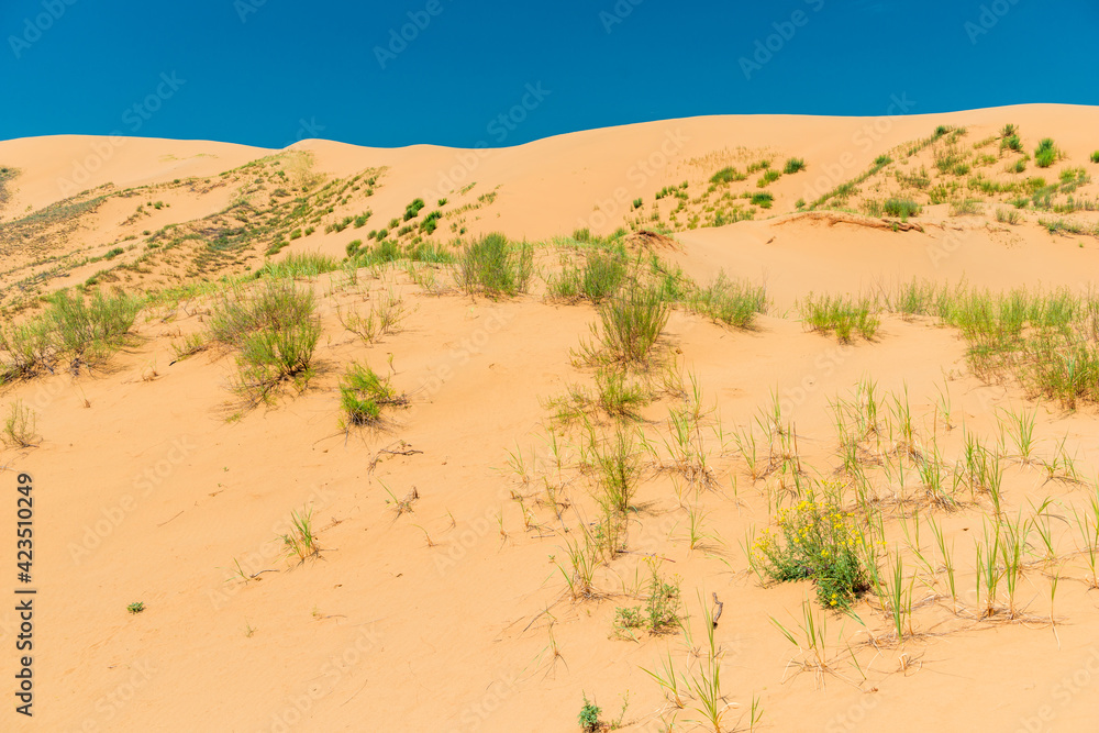 Sand dune dune Sarikum in Dagestan, Russia