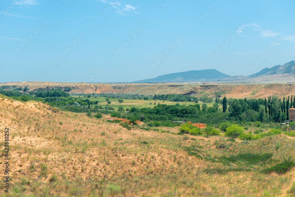 landscape with a view of the field and pores in summer landscape with a view of the field and pores in summer