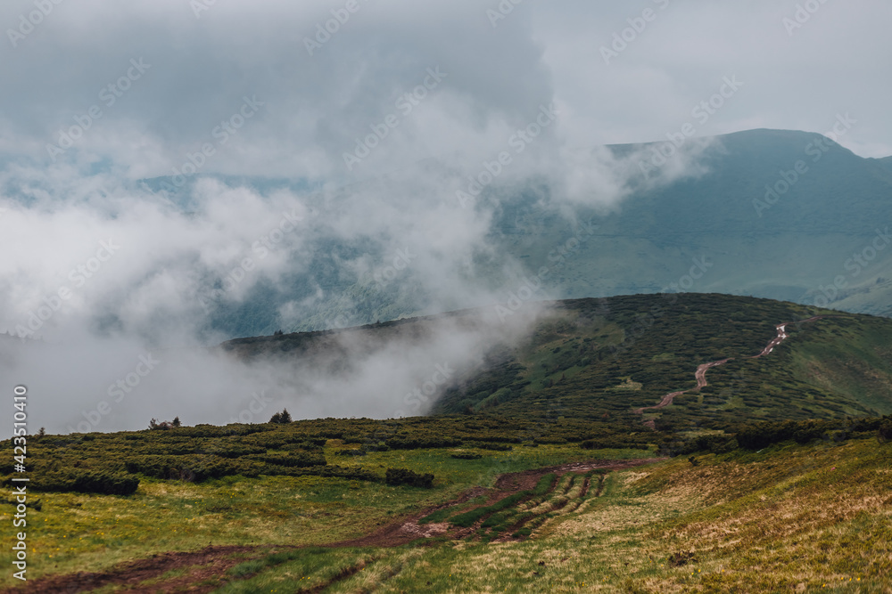 Carpathian mountains, summer, clouds, flowers, forest Carpathian mountains, summer, clouds, flowers, forest