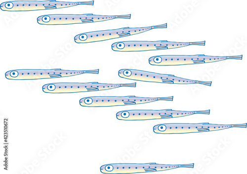 Valokuva Small fish swimming in a flock