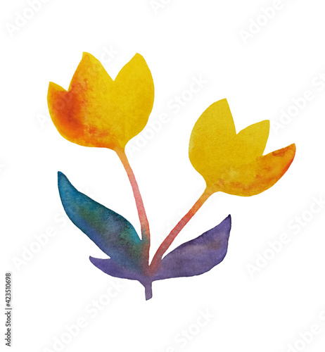 Watercolor flower on a white background. Colorful drawing,romantic botanical illustration.
