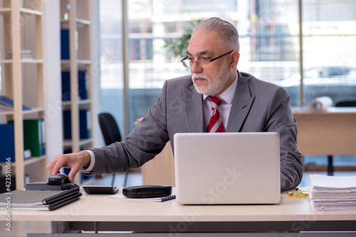 Aged businessman employee working in the office