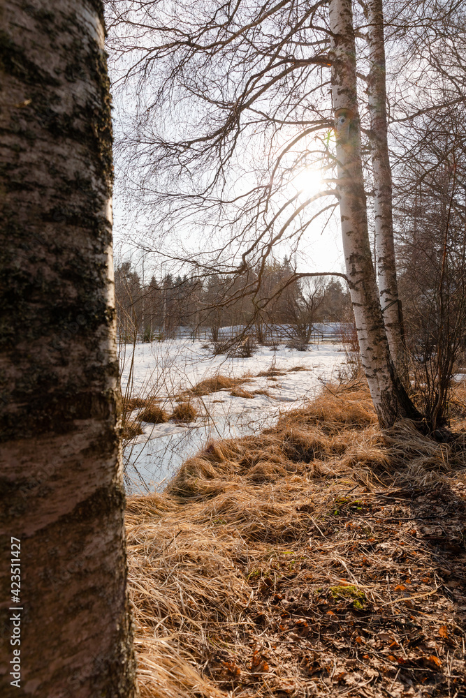 March spring day with melting snow and ice in the sunshine. March spring day with melting snow and ice in the sunshine.