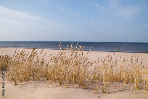 Fototapeta Naklejka Na Ścianę i Meble -  sand dunes on the beach