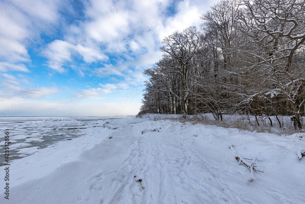 Verschneiter winterlicher Strand mit Wald. Es ist der Greifswalder Bodden, die Ostsee bei Greifswald. Nicht nur der Strand ist verschneit, das Wasser in Ufernähe ist zu dickem Eis gefroren. Verschneiter winterlicher Strand mit Wald. Es ist der Greifswalder Bodden, die Ostsee bei Greifswald. Nicht nur der Strand ist verschneit, das Wasser in Ufernähe ist zu dickem Eis gefroren.