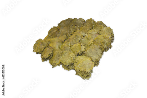Front view of pickled grape leaves on isolated white background. traditional turkish food stuffed photo