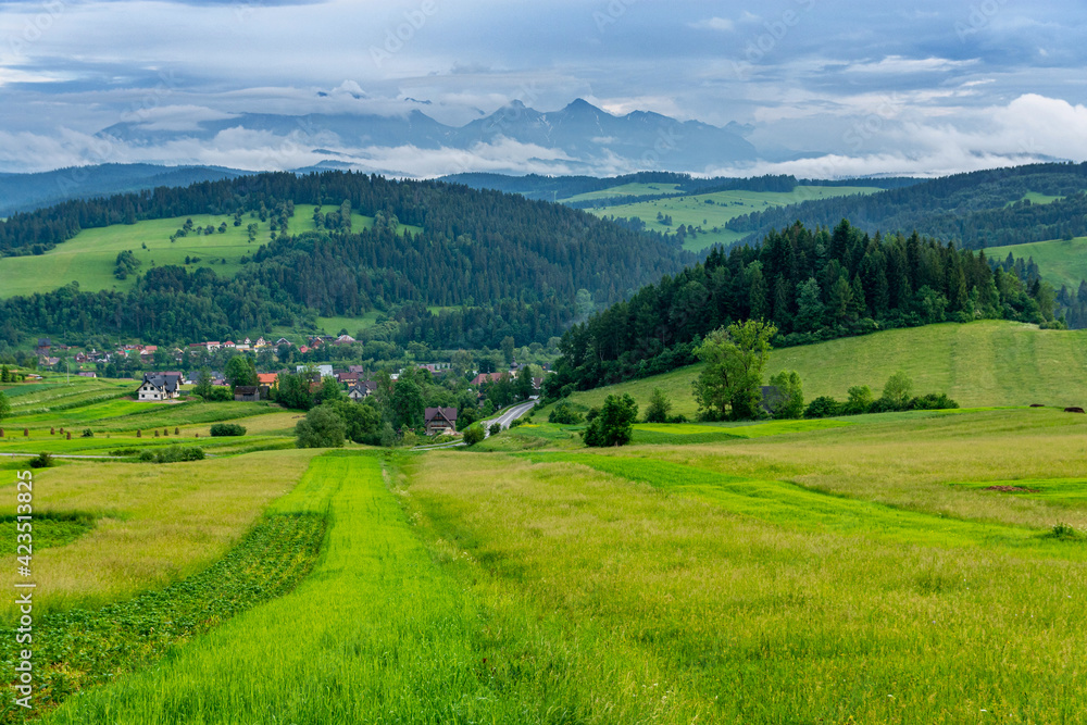 beautiful view on Tatra mountain from Pieniny mountain with green meadow in Poland