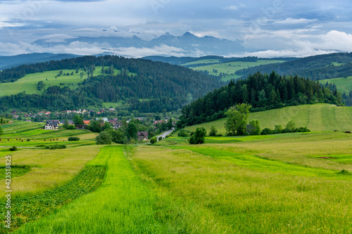 Obraz na płótnie beautiful view on Tatra mountain from Pieniny mountain with green meadow in Poland w salonie