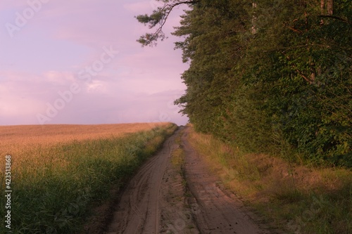 evening road in the village