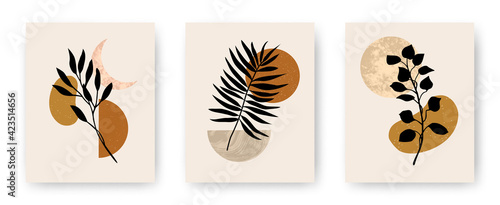 Vector set of modern aesthetic posters with abstract geometric stone textured shapes and plants. Contemporary boho art backgrounds in mid century style for print, home and wall decor, invitations