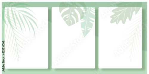 Shadow Overlay Plant Vector Mockup white papers. Shadows overlay effects Of leaves on green background. Vector illustration. 植物のシルエットとデコレーションの白紙背景 、夏のテンプレート