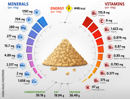 Vitamins and minerals of raw soybeans. Infographics about nutrients in mature soy grain. Vector illustration for soya, health food, agriculture, vitamins, legume, nutrients, diet, etc