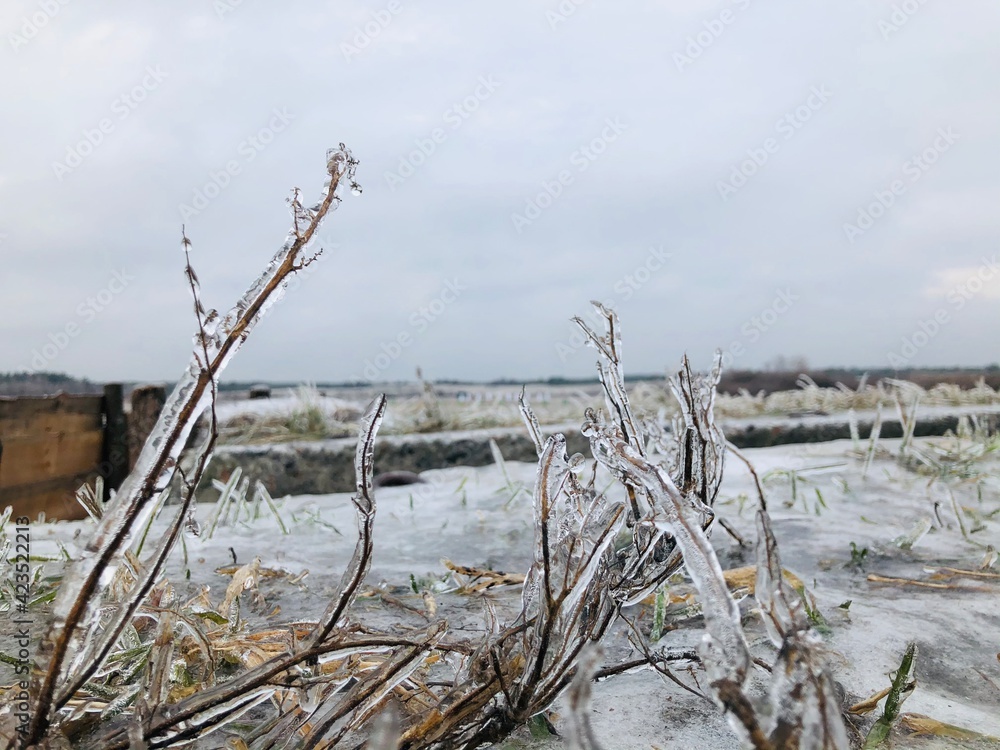 frozen lake in winter