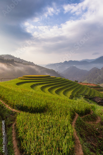 Green terraced rice fields in rainny season at Mu Cang Chai