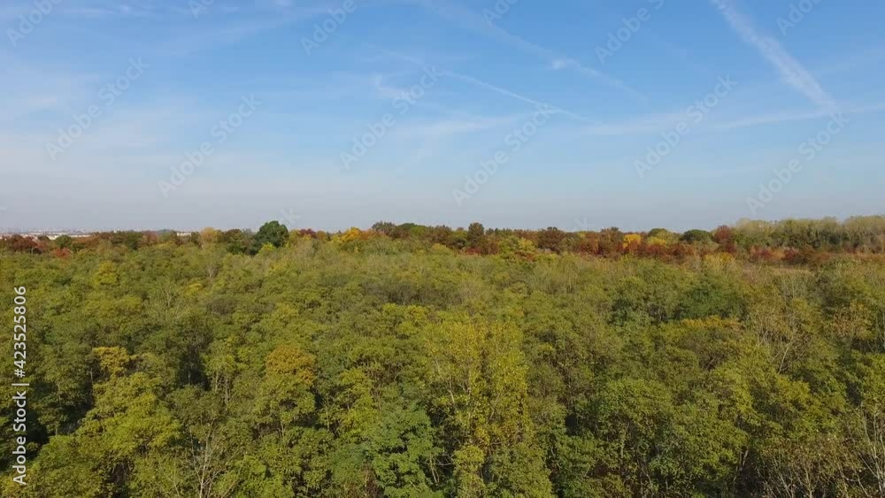 Flying over a valley of trees at a nature park Flying over a valley of trees at a nature park