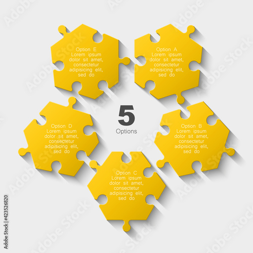 Puzzle five scattered piece business presentation. Circle disassembled infograph. 5 Step demounted round process diagram.