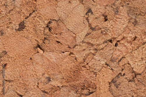 background of cork texture closeup