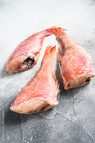 Raw Red perch or seabass fish. White background. Top view