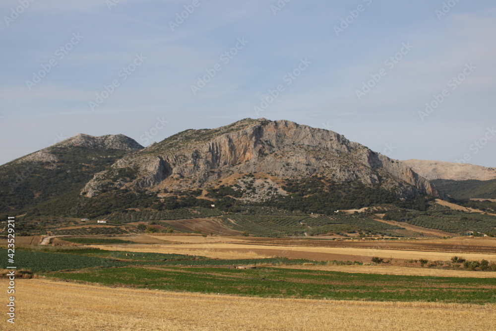 landscape in the mountains