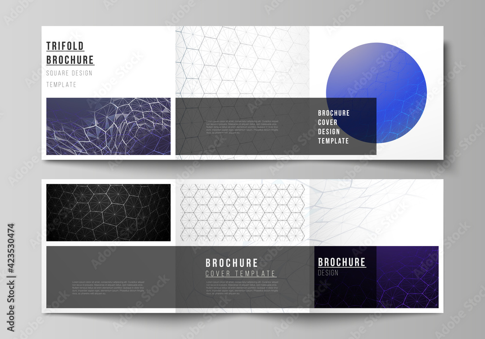 Vector layout of square format covers design templates for trifold brochure. Digital technology and big data concept with hexagons, connecting dots and lines, polygonal science medical background.