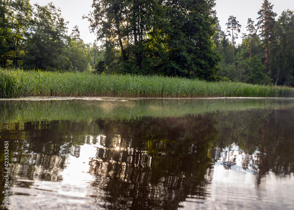 green landscape by the lake, tree reflections in calm water, summer green landscape by the lake, tree reflections in calm water, summer