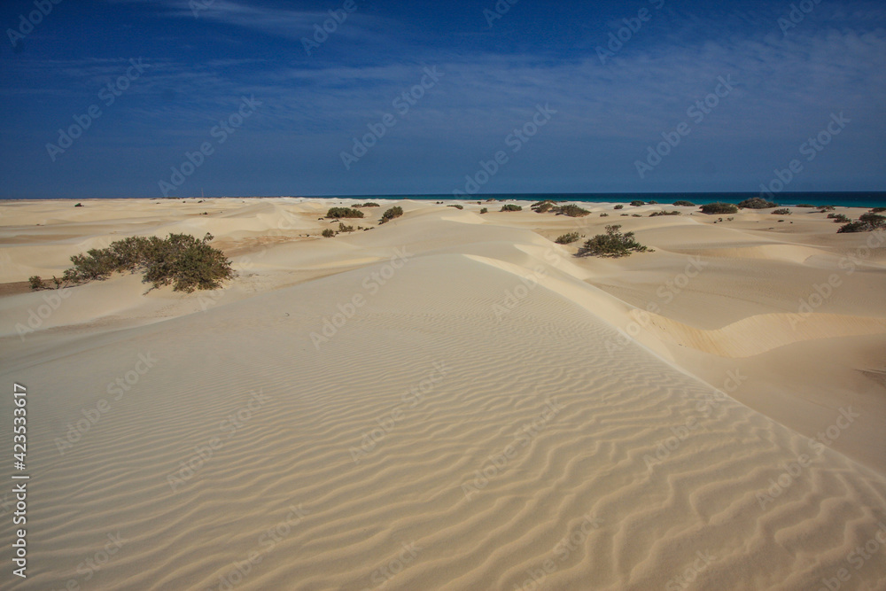 Sand dunes in the south of Socotra Island of Yemen, Middle East Sand dunes in the south of Socotra Island of Yemen, Middle East