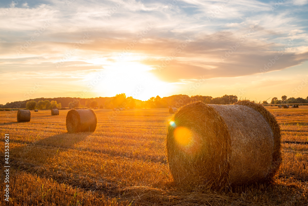 Picturesque sunset over the field of grains after harvesting. Straw bales on the meadow, evening in the countryside.