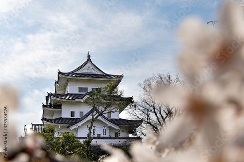 春のお城

