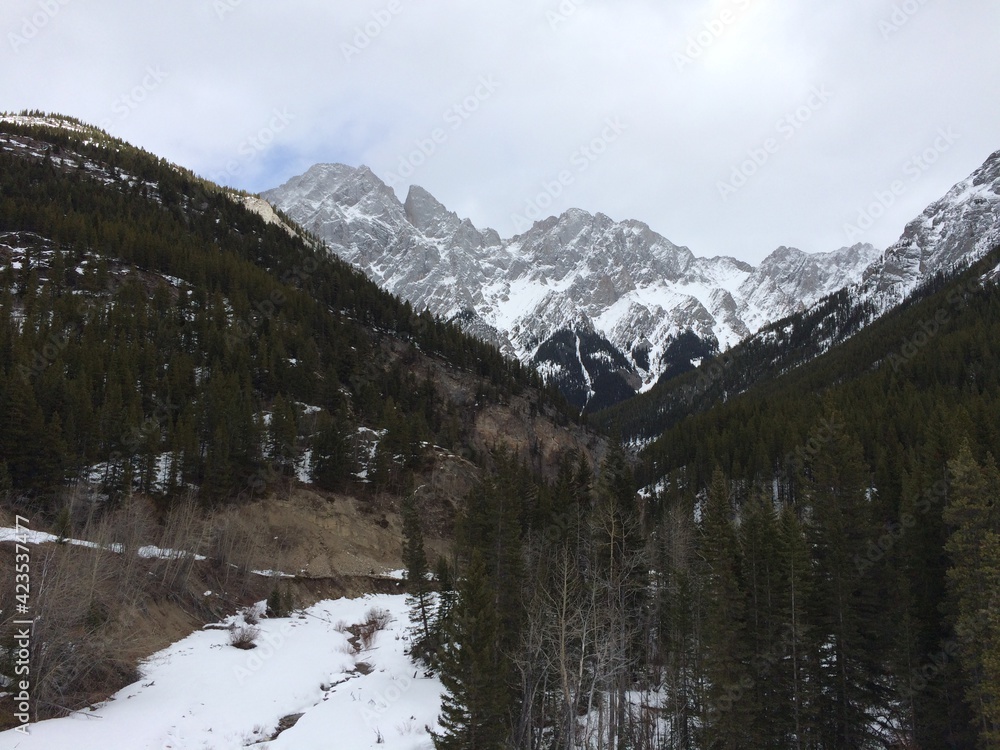Rocky mountains in Kananaskis provincial park Rocky mountains in Kananaskis provincial park