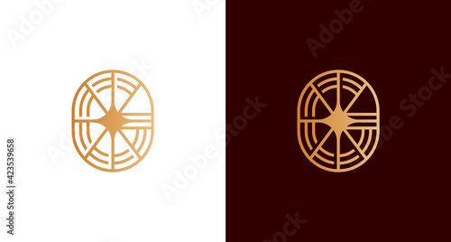 Abstract elegant letter G star logo ion circular emblem shape, the luxury initial G logo, star lines, monogram, jewelry, badge vector template