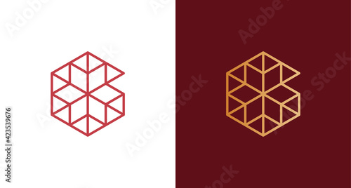 Minimal Hexagonal letter G logo with geometric thin line shape. elegant G initial logo vector template