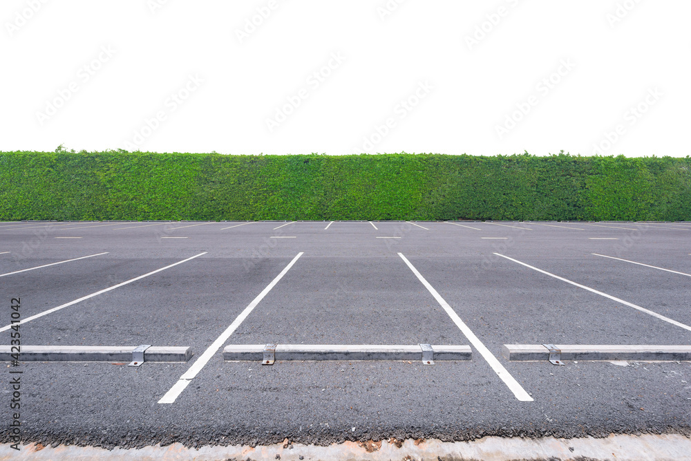 Parking lot in public areas with green tree wall.