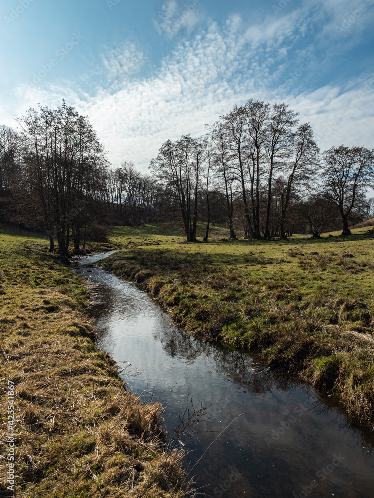 stream in unique natural landscape in northern germany stream in unique natural landscape in northern germany
