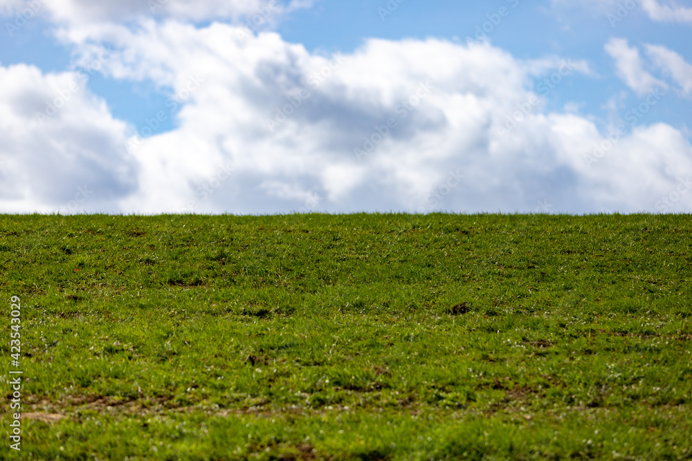 green field and blue sky green field and blue sky