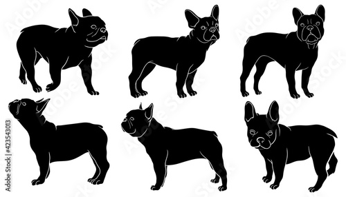 hand drawn silhouette of french bulldog