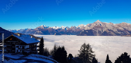 landscape in winter
