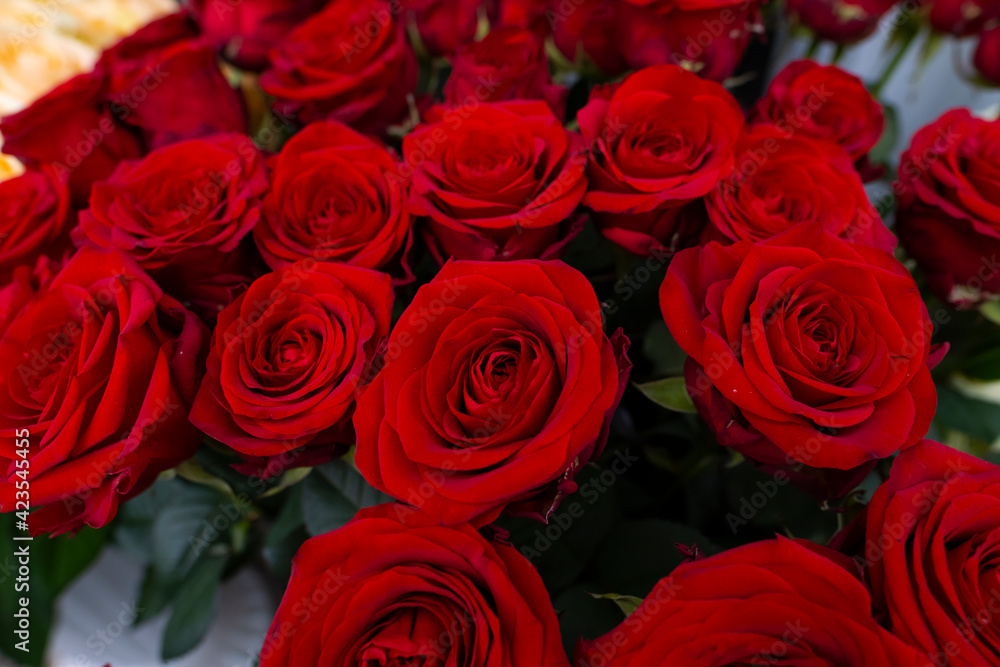 Flower texture, texture of a bouquet of roses Flower texture, texture of a bouquet of roses