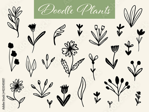 Bundle of doodled vector plants like flowers, leaves and branches. Simple botany clip arts.