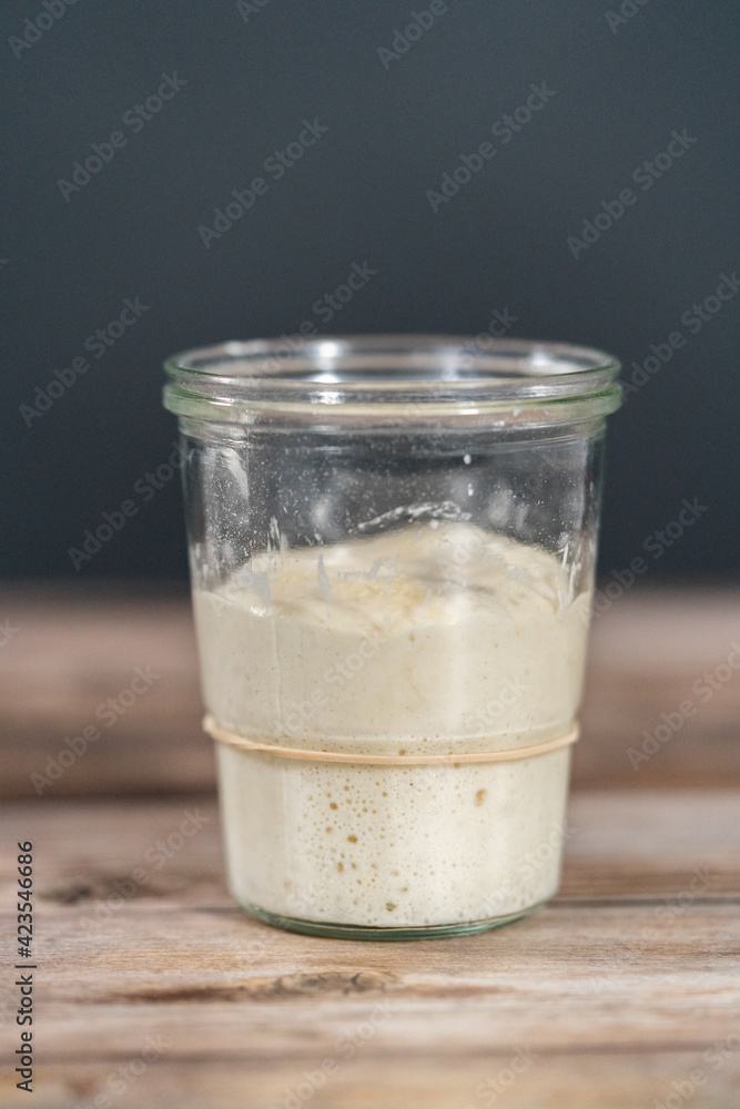 Sourdough starter Sourdough starter
