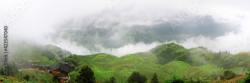 panorama Longji field China  © vipros