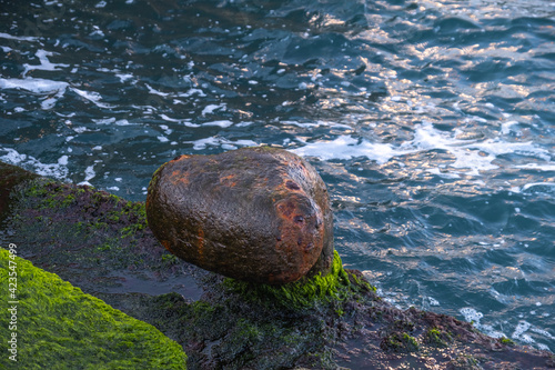 old and rusted bollards, by the sea, covered with moss, makefast,  photo