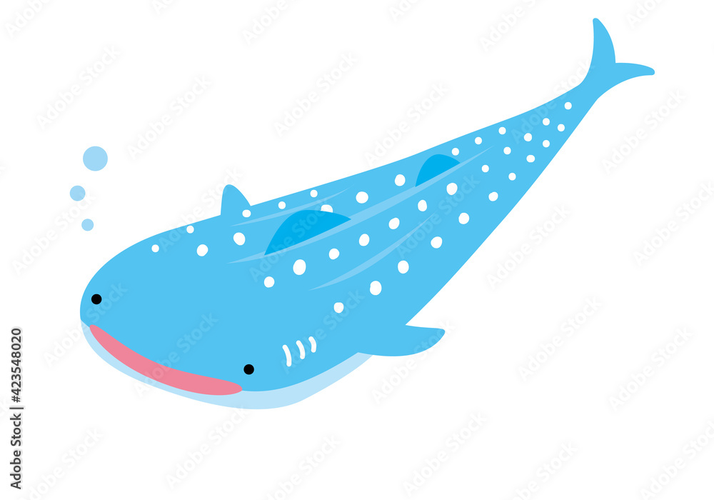 沖縄 ジンベエザメ イラスト3 Stock Vector Adobe Stock