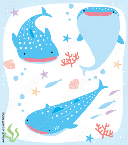 沖縄　ジンベエザメ　3ポーズイラストセット