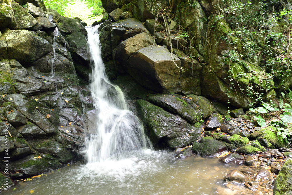 Obraz premium Ecologically clean waterfall Nagutni - the pearl of the Caucasus